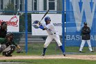 Baseball vs Babson  Wheaton College Baseball vs Babson during NEWMAC Championship Tournament. - (Photo by Keith Nordstrom) : Wheaton, baseball, NEWMAC